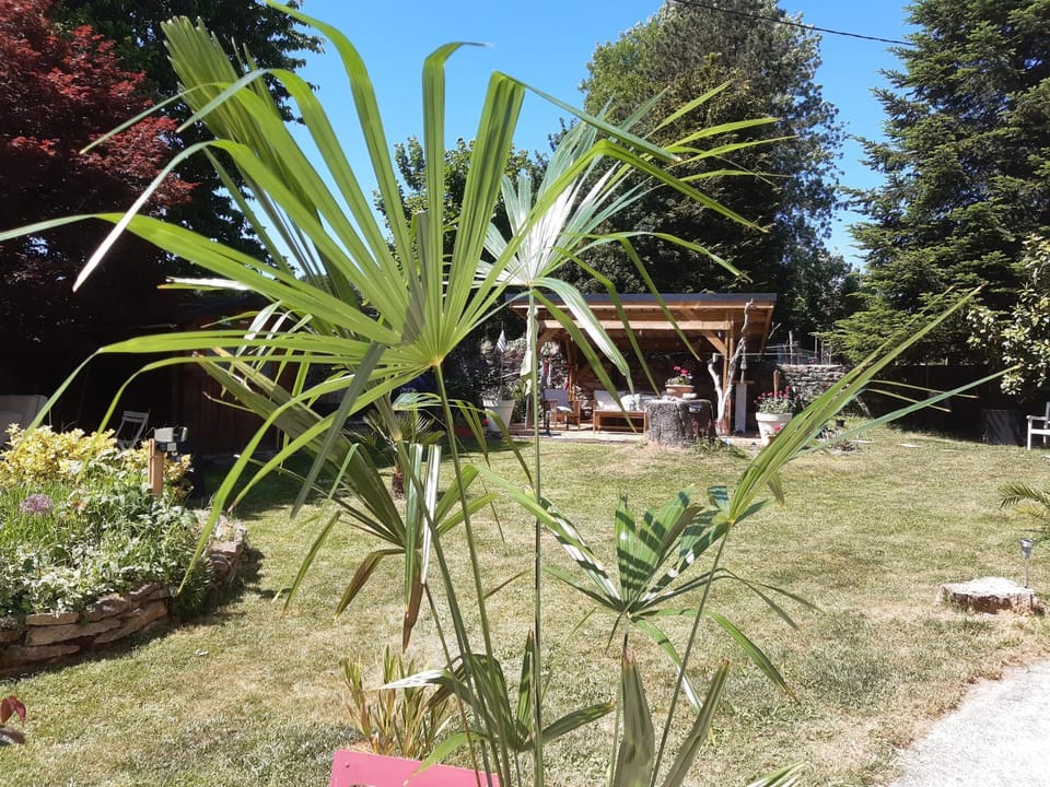 Garden view