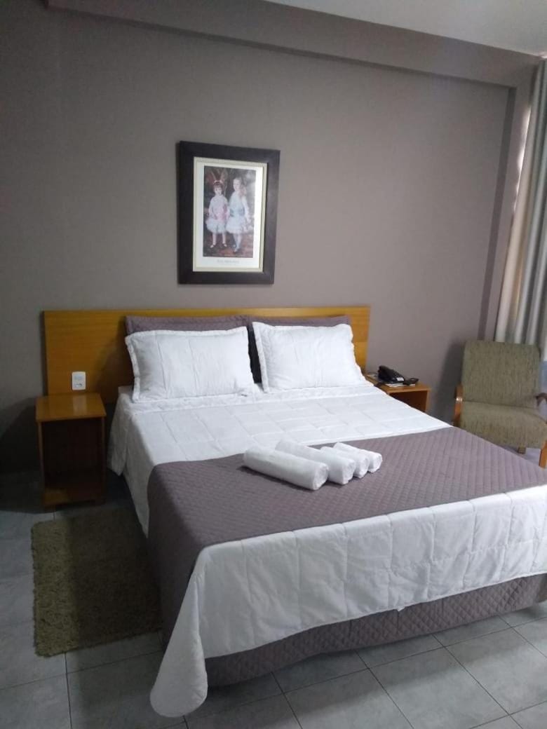 Presidente Hotel Hotel in State of São Paulo