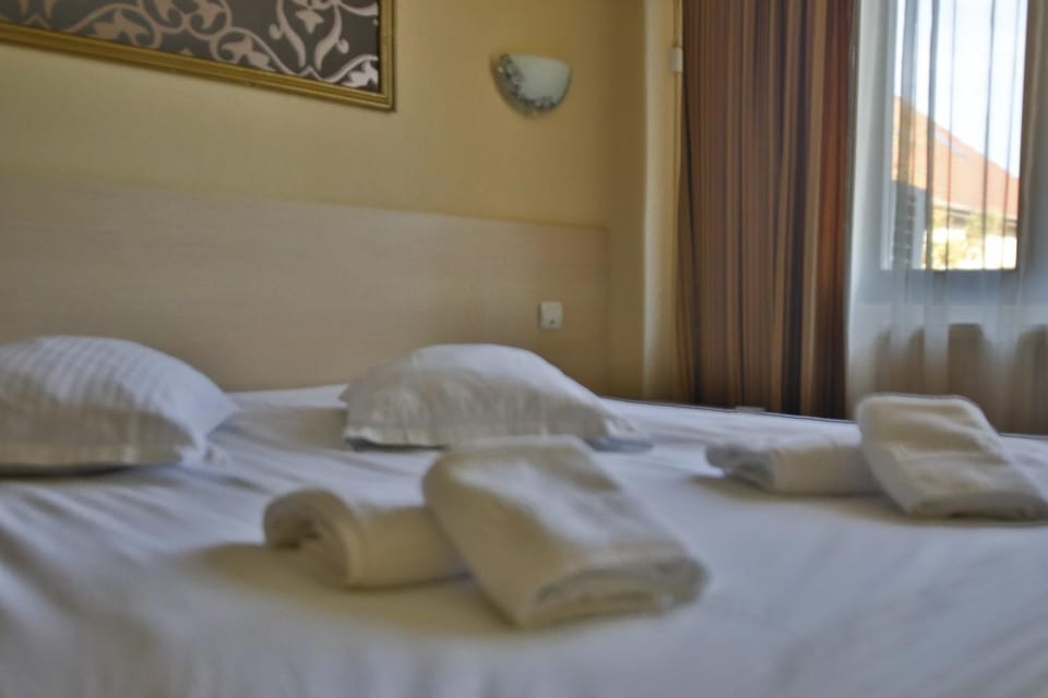 Vila Vidalis Hotel in Cluj-Napoca