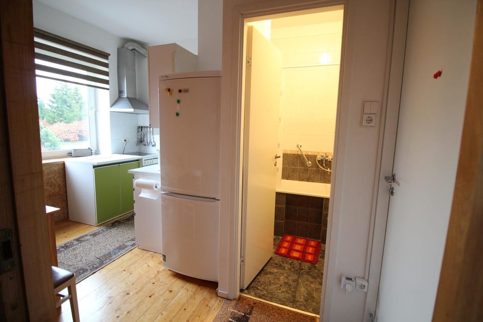 Kitchen or kitchenette, minibar, stove