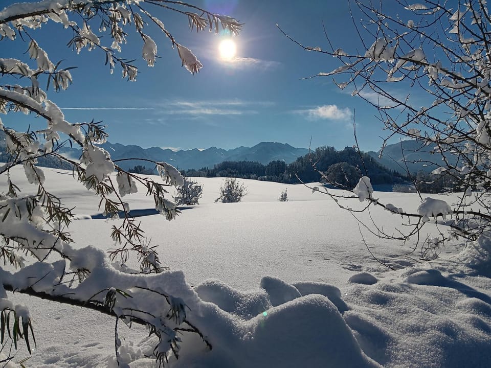 Gästehaus Koch Apartment in Sonthofen