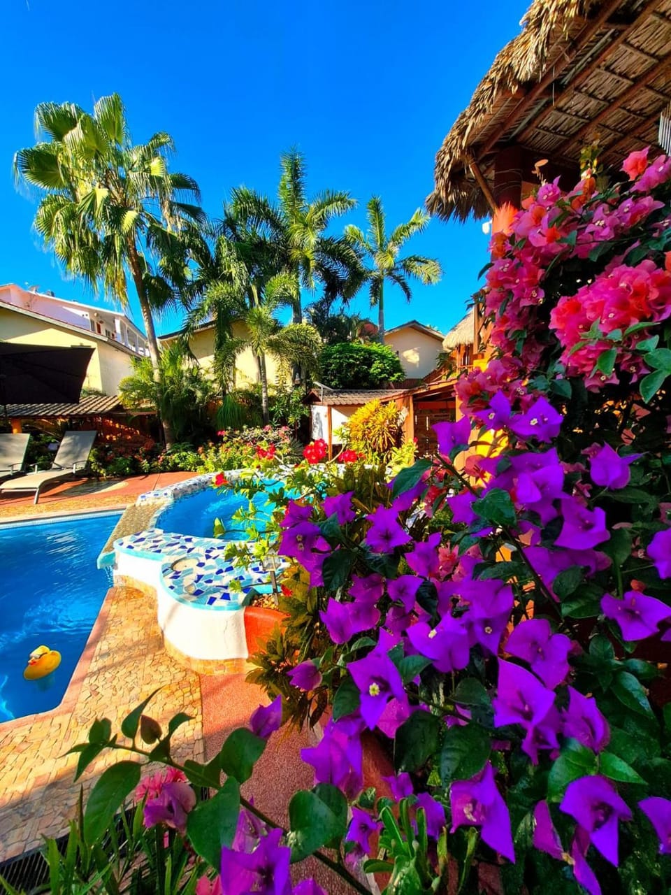 Garden, Pool view
