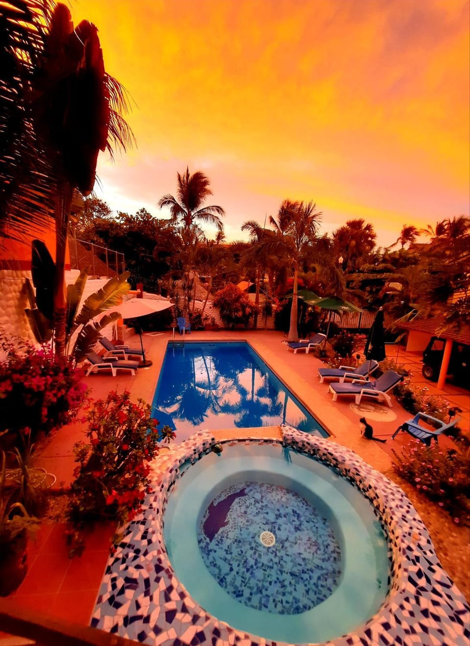 Summer, Garden, View (from property/room), Pool view