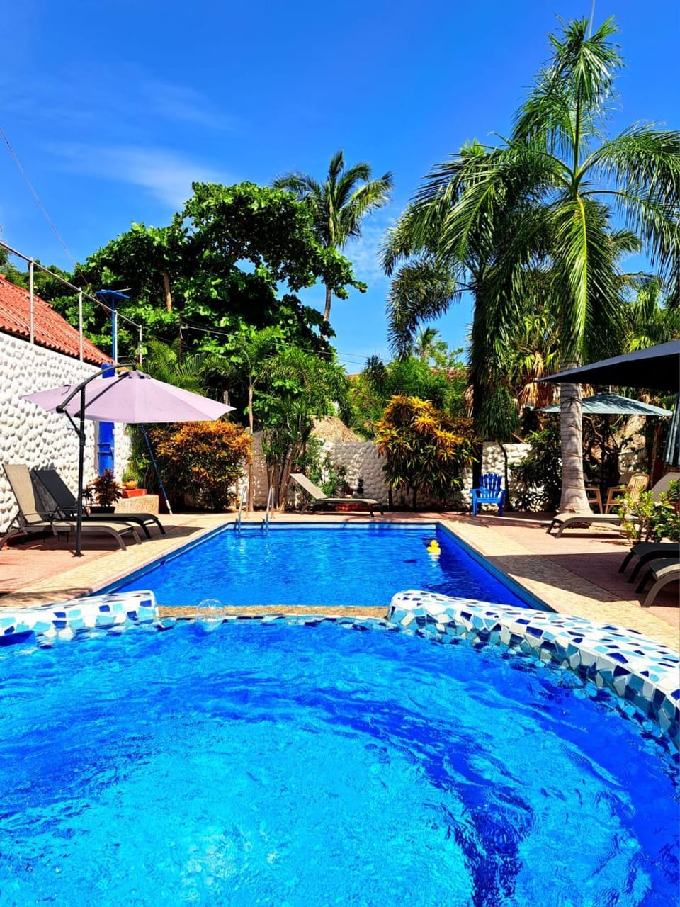 Property building, Swimming pool