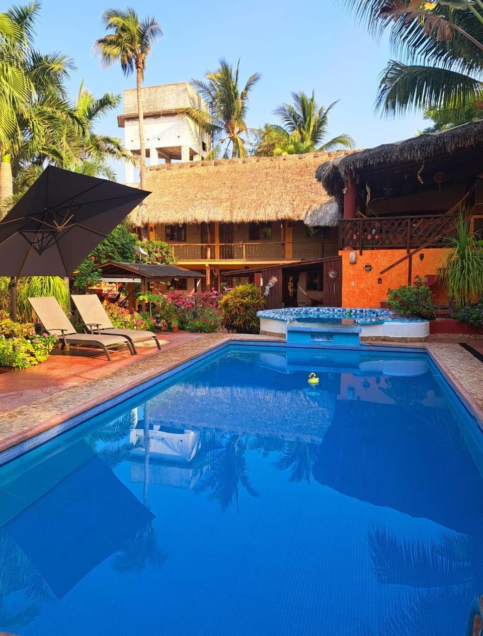 Property building, Swimming pool, sunbed