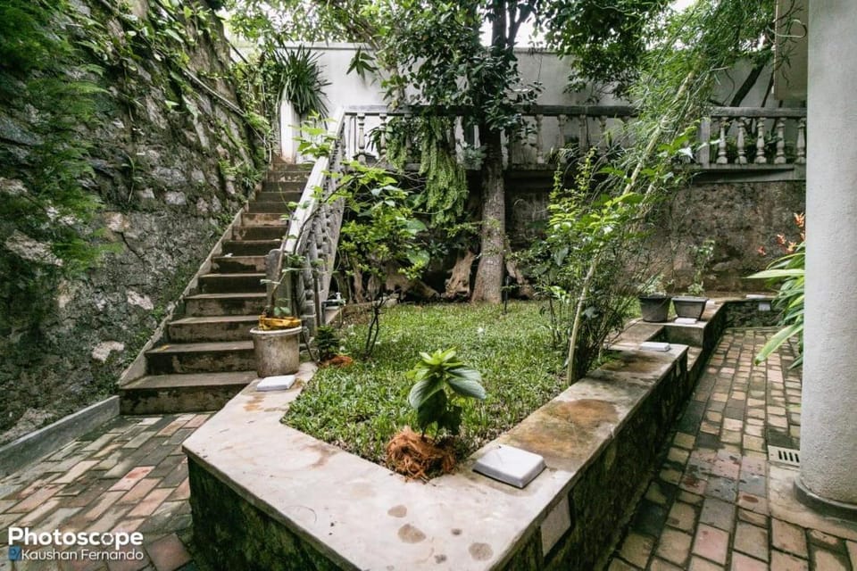 Property building, Garden, Garden view