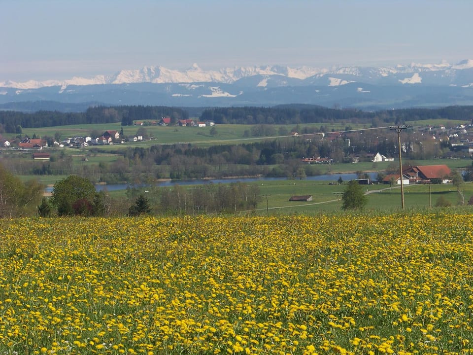 Natural landscape