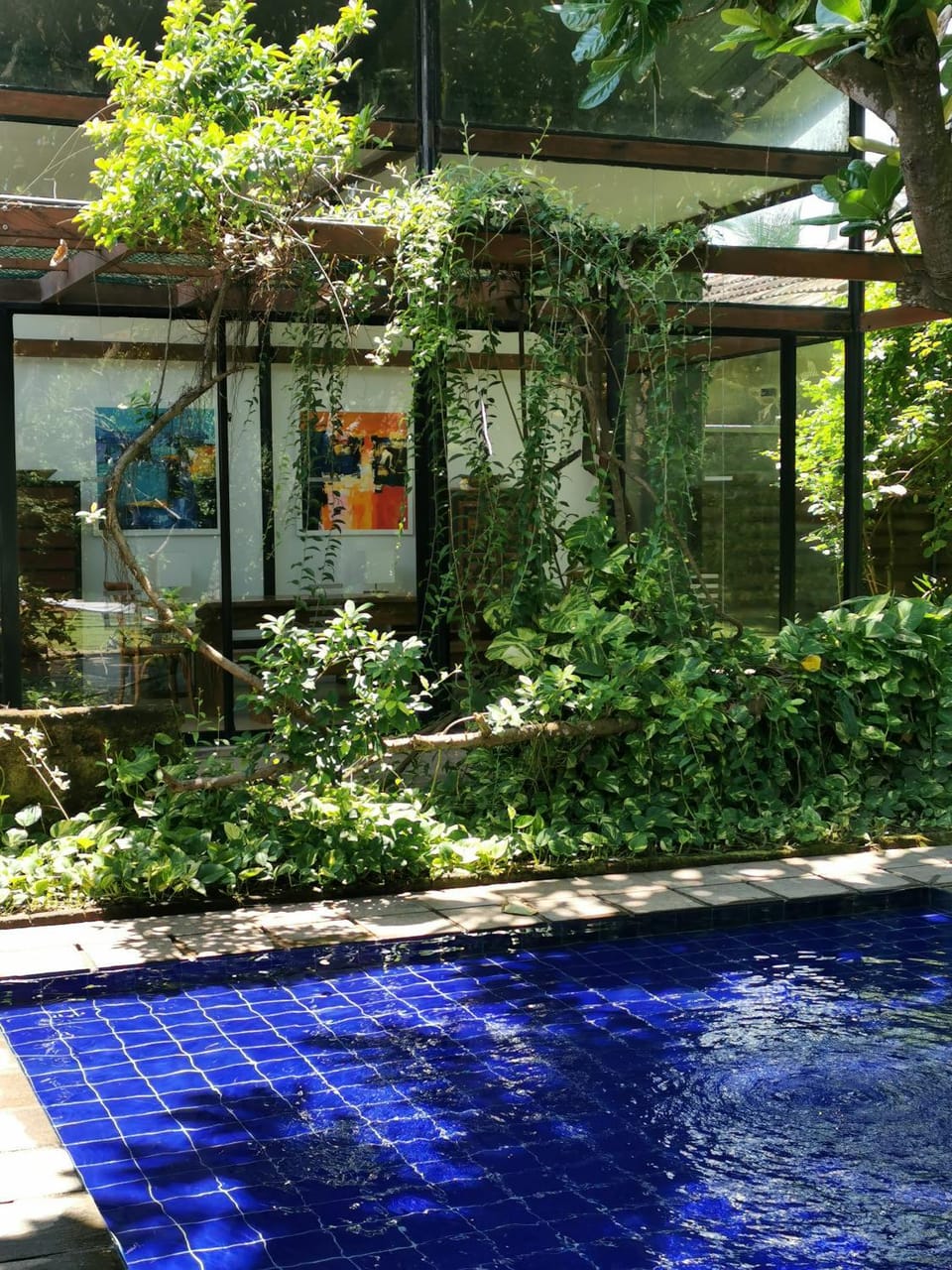 Garden, Dining area, Swimming pool, Meals, Lunch, Dinner
