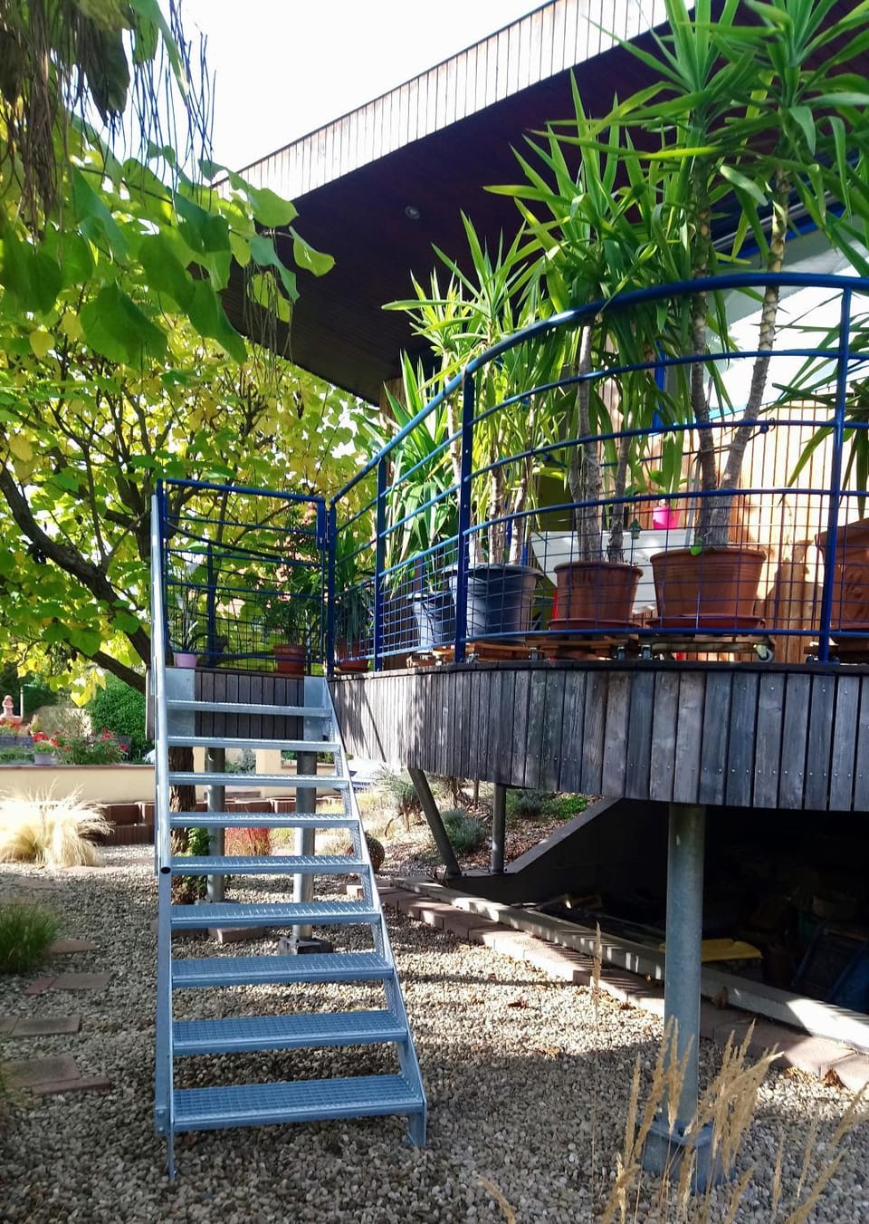 Garden view