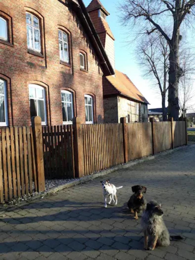 Pets