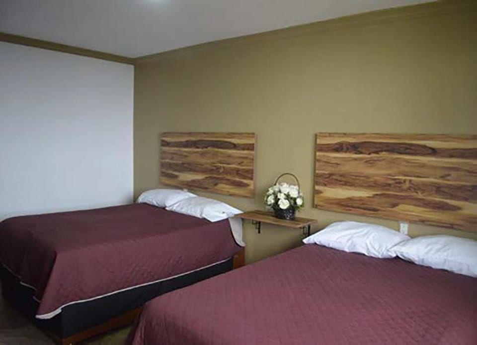 Hotel Vista Markés Hotel in State of Puebla
