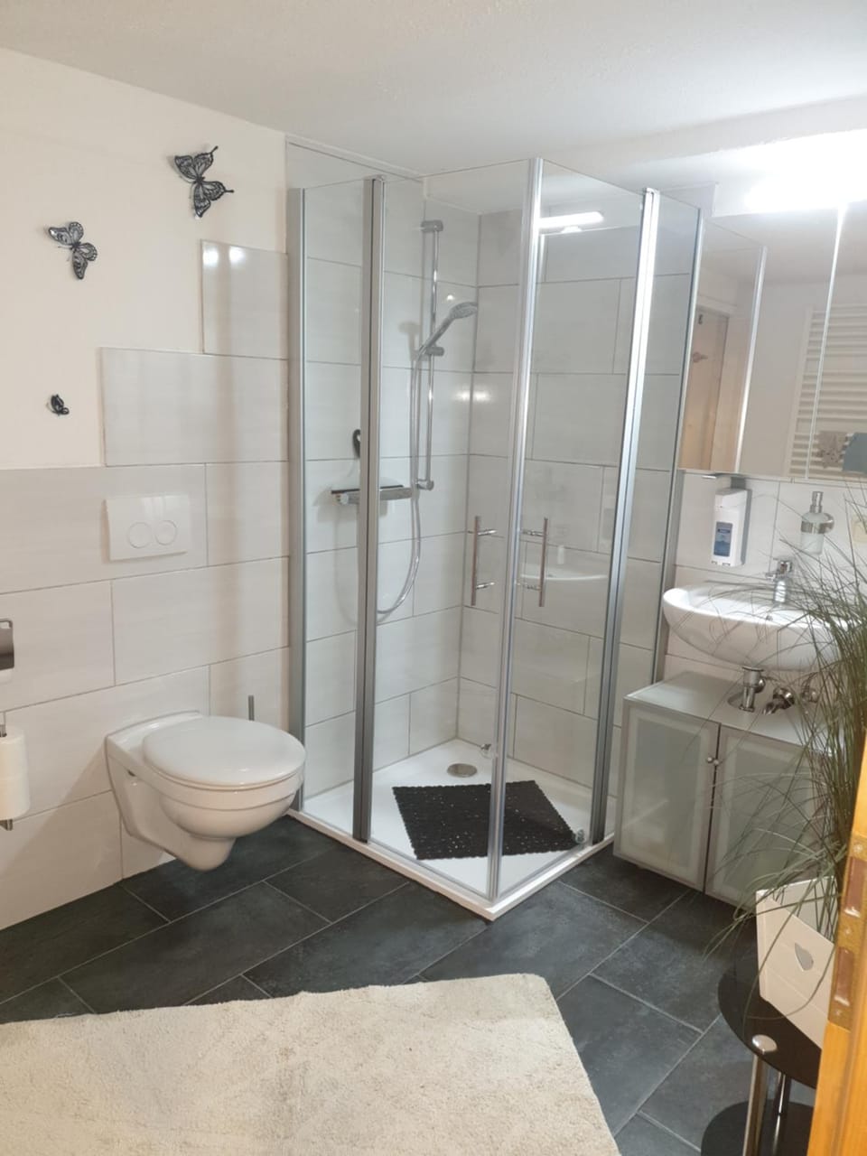 Shower, Toilet, Bathroom