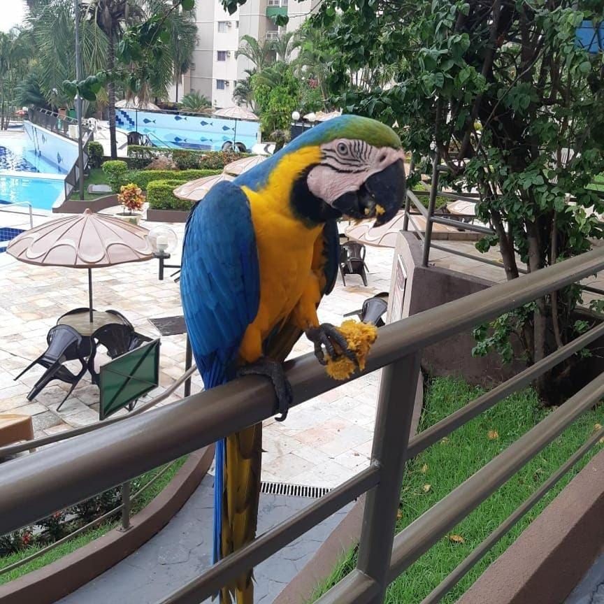 Apartamentos Ecologic PARK - Caldas Novas Apartment in State of Goiás
