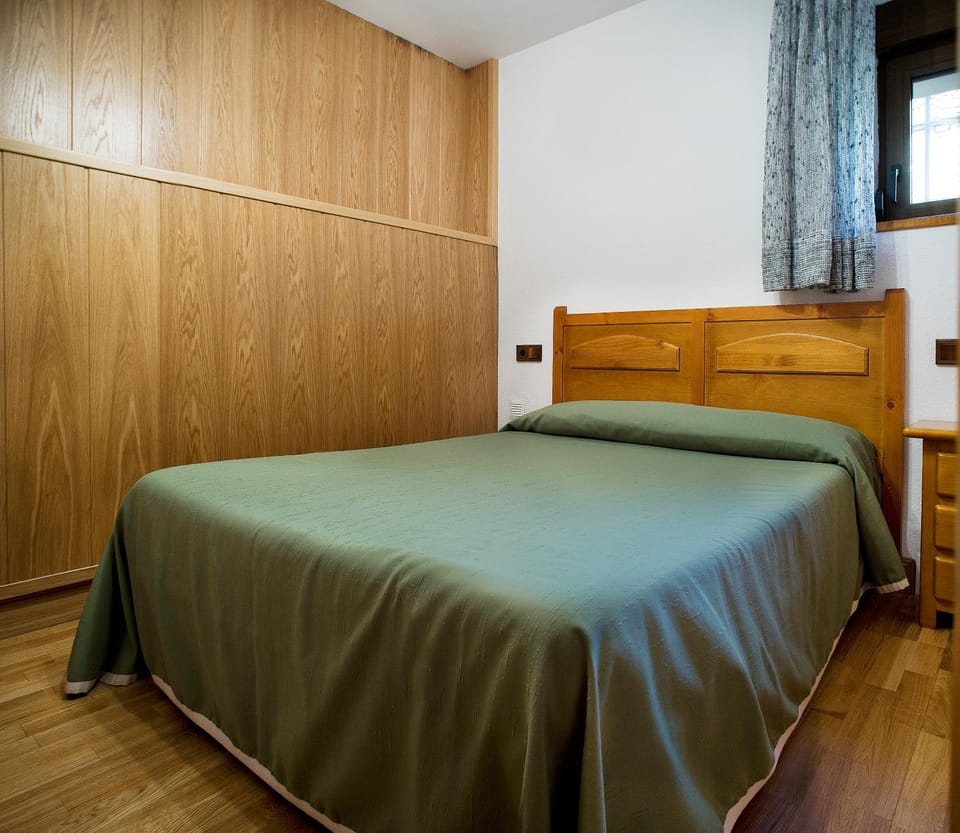 Apartamentos Casa Buisan Apartment in Broto