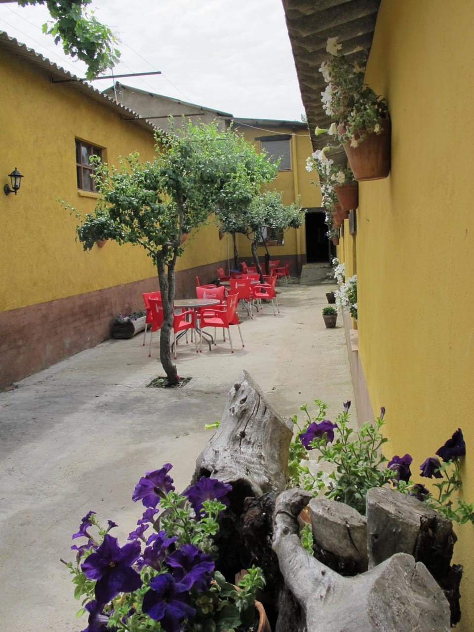 Balcony/Terrace