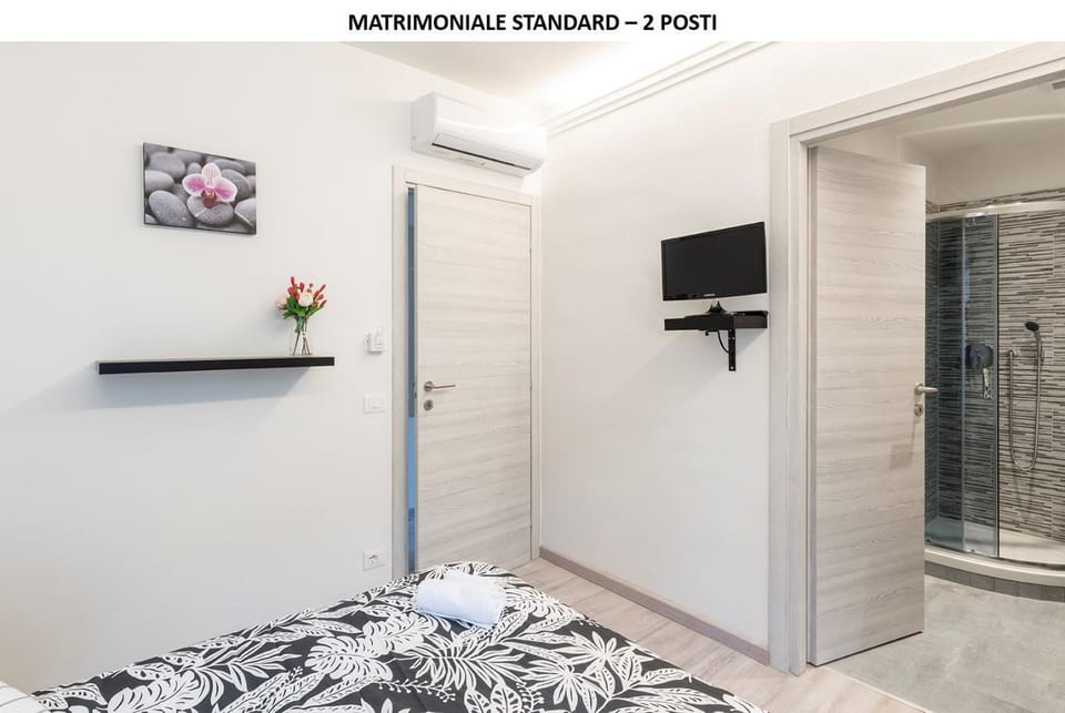 Shower, Bed, Bathroom, TV and multimedia, Photo of the whole room, Bedroom, towels, air conditioner