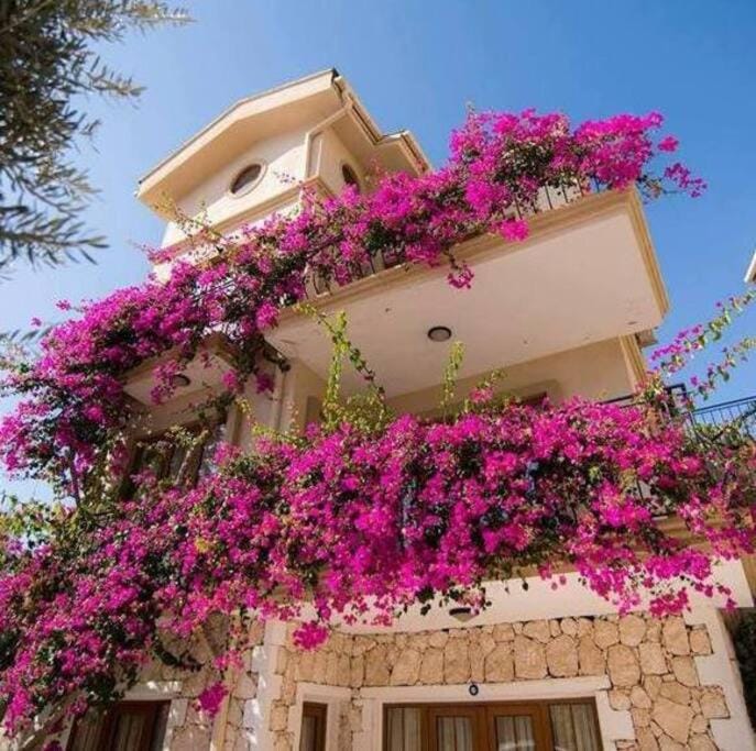Kleo Apartment Mediterranean Garden Complex Kalkan Apartment in Kalkan Belediyesi