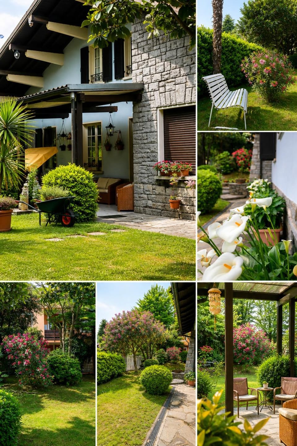 Property building, Garden, Garden view