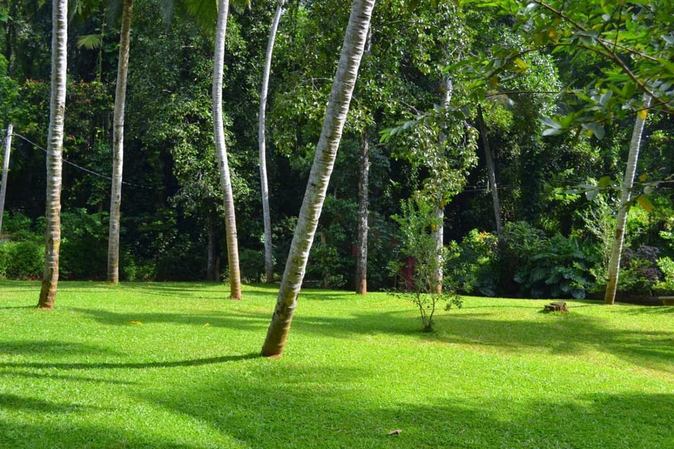 Natural landscape, Garden