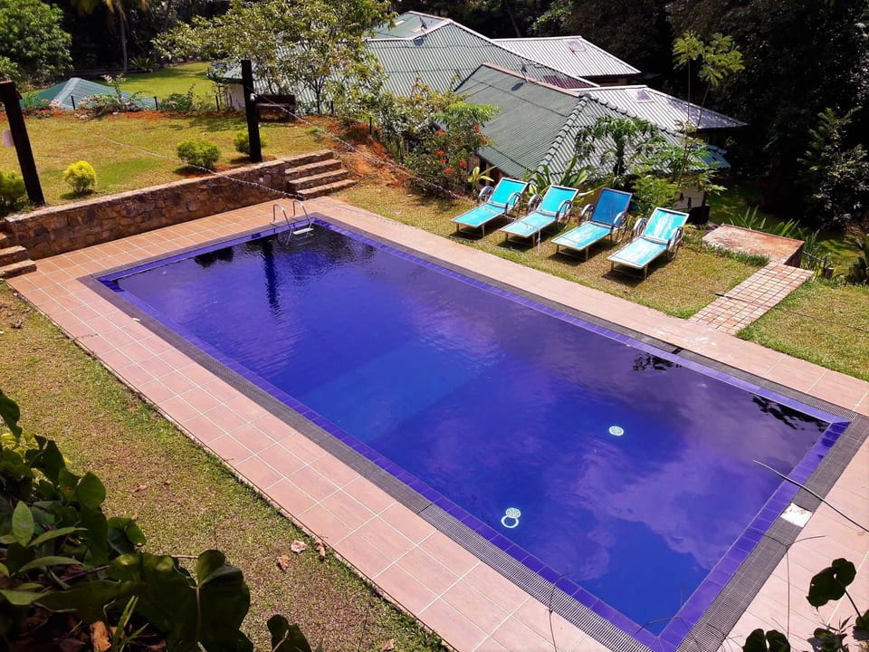 Garden, Pool view, Swimming pool, sunbed