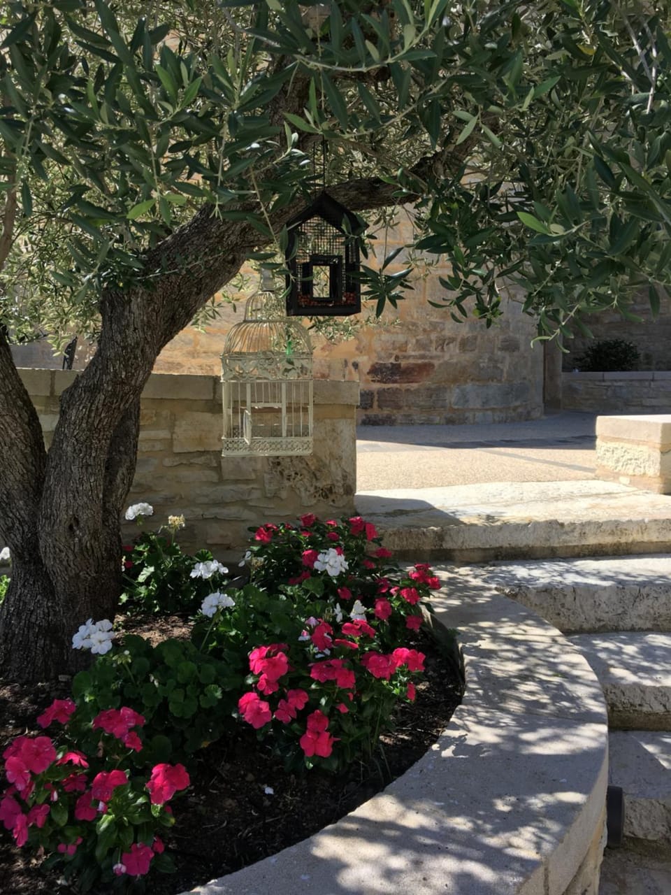 Patio, Garden