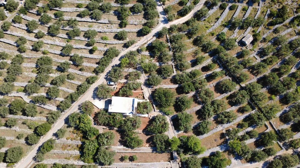 Neighbourhood, Natural landscape, Bird's eye view