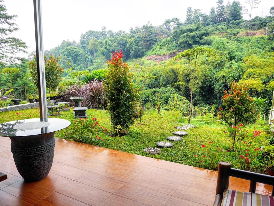 Patio, Natural landscape, Garden, Garden view