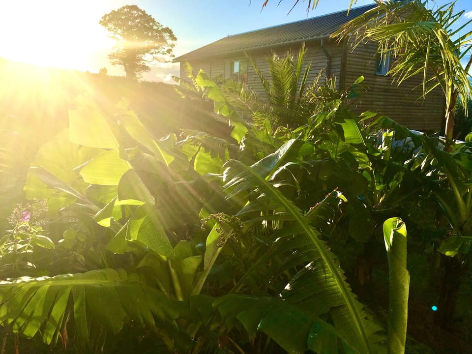 Property building, Garden