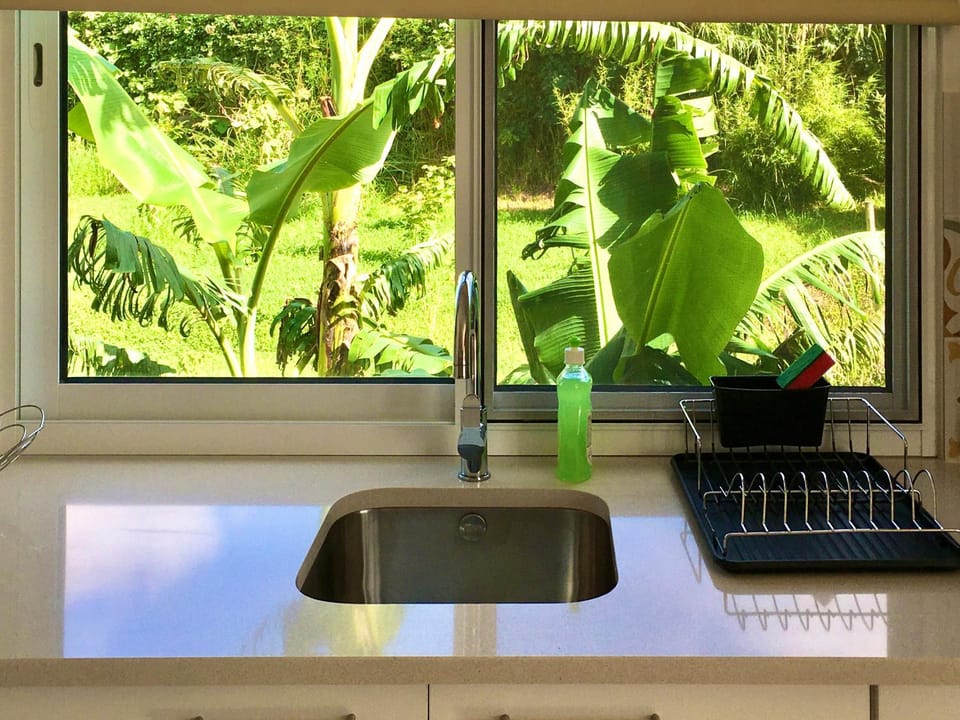 Kitchen or kitchenette, Garden view, Garden view