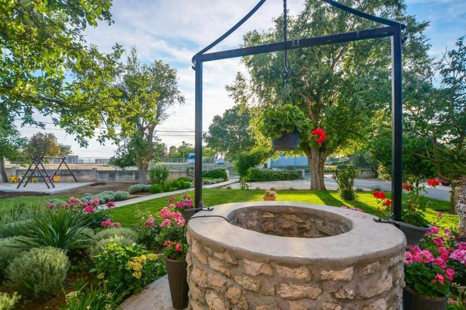 Patio, Garden, Garden view