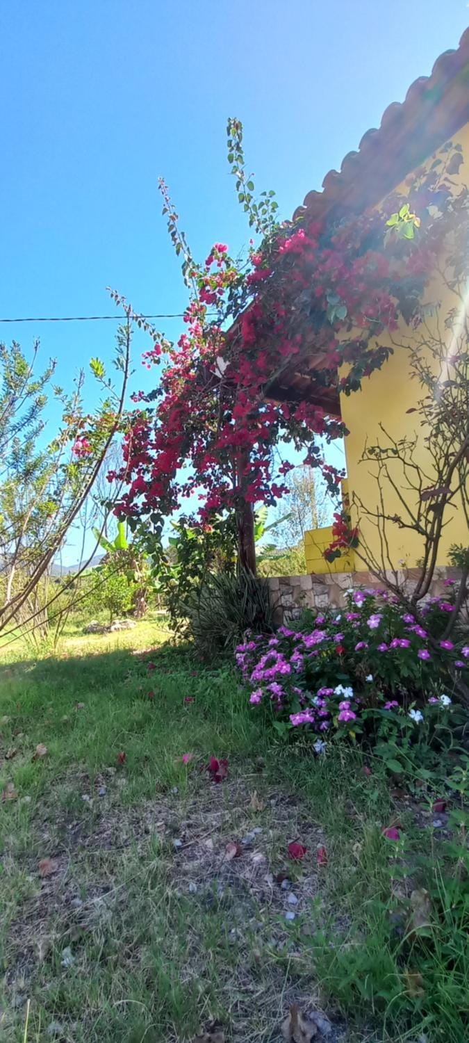 Pousada Serra Aquarela Chalet in State of Bahia