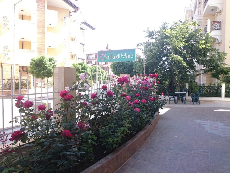 Garden, Street view
