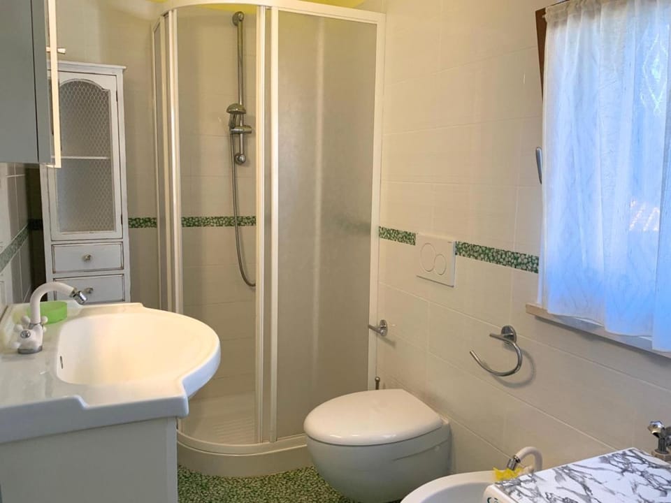 Shower, Toilet, Bathroom, bidet