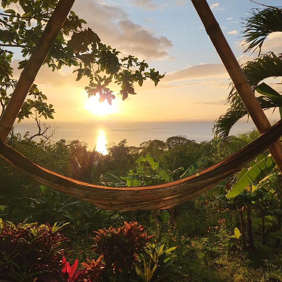 Natural landscape, Garden view, Sunset