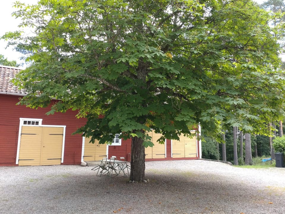 Höganlid Bed & Breakfast Bed and Breakfast in Sweden