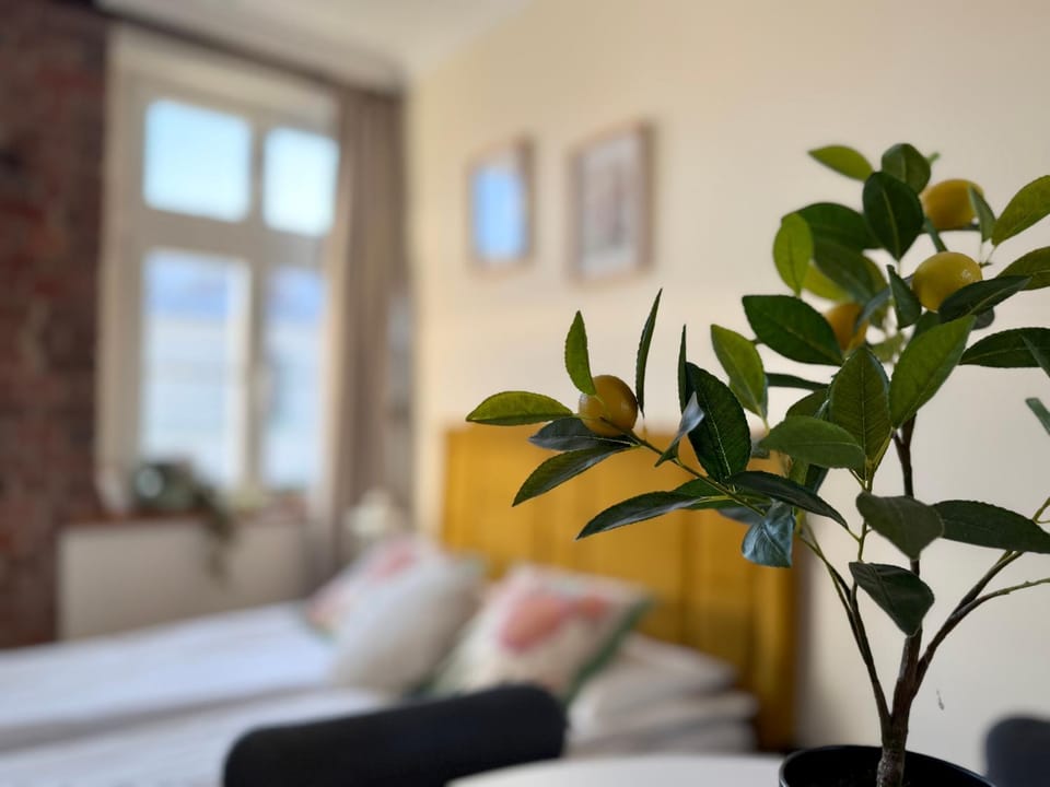 Apartamenty Piekary 11 przy Wiśle by Rentoom Apartment in Greater Poland Voivodeship