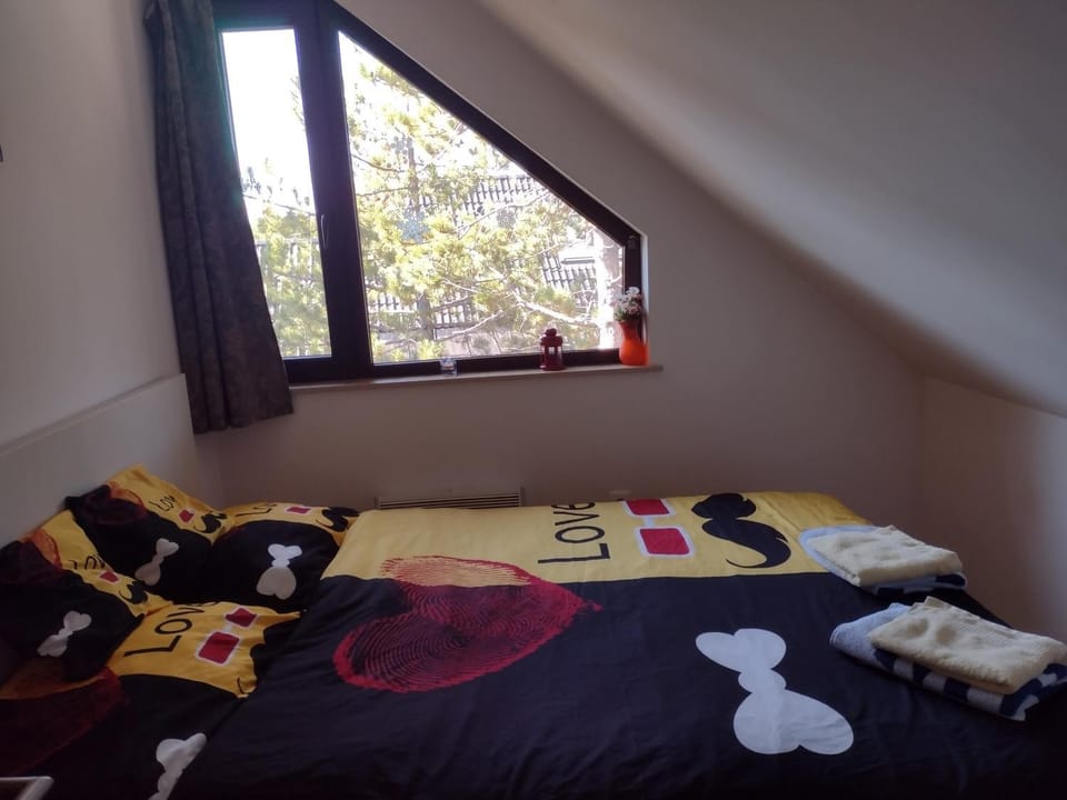 Apartman zlatibor Apartment in Zlatibor
