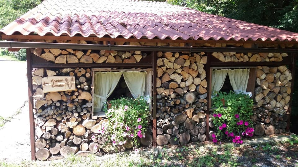 Appartment Bezenica Apartment in Slovenia
