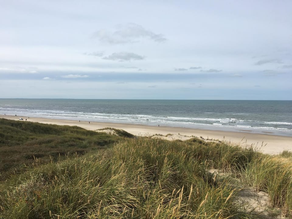Nearby landmark, Beach