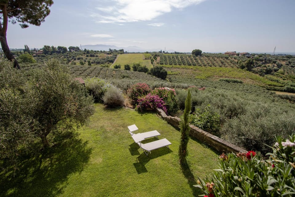 Natural landscape, Garden, View (from property/room)