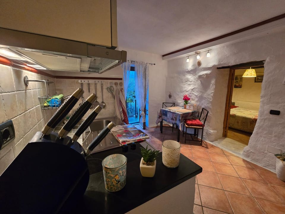 Kitchen or kitchenette, Dining area, stove