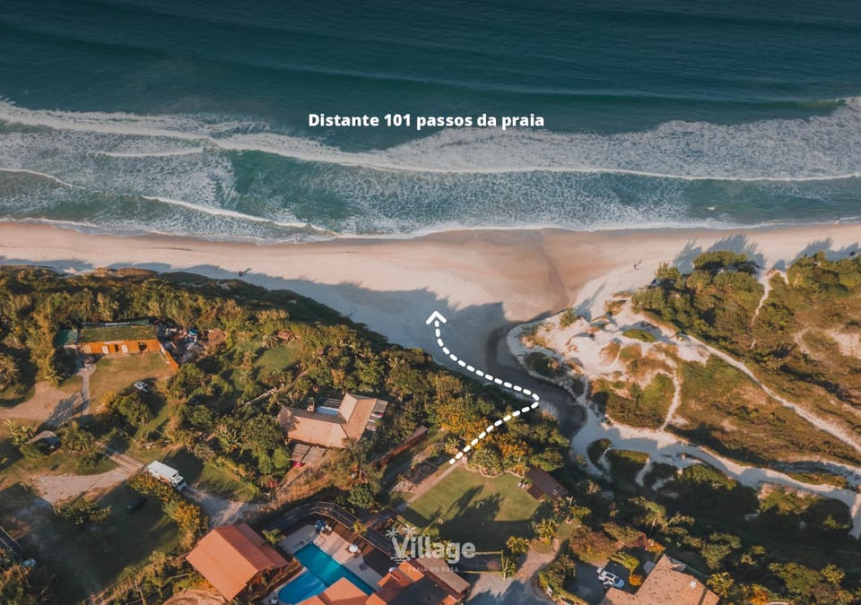 Natural landscape, Garden, Beach