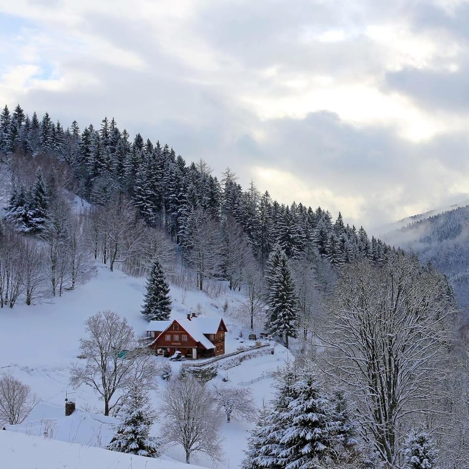 Property building, Winter
