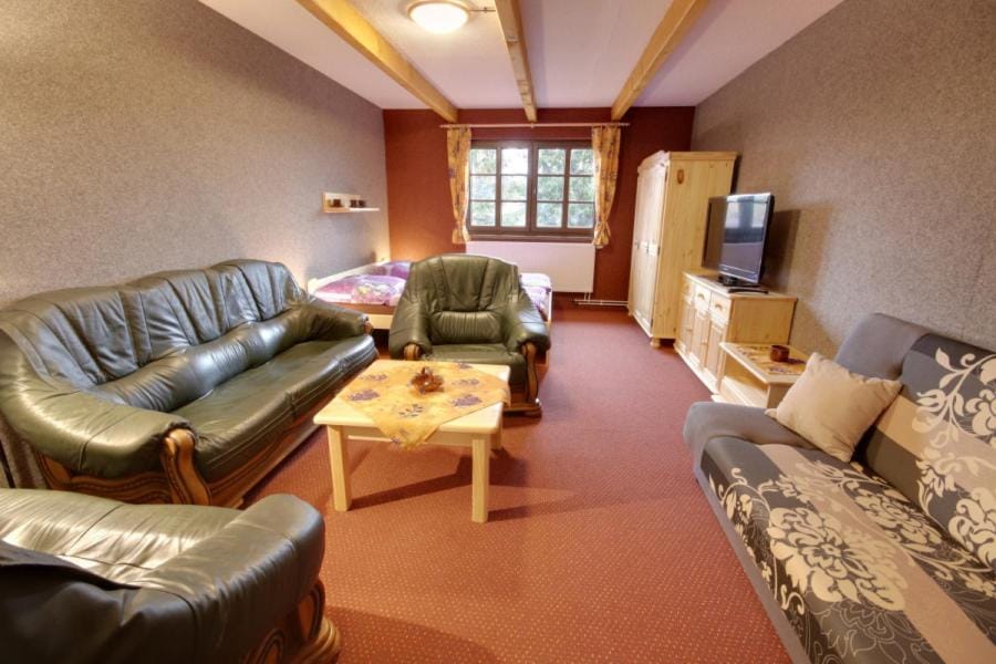 PENZION HARRY na sjezdovce KRKONOŠE Bed and Breakfast in Lower Silesian Voivodeship