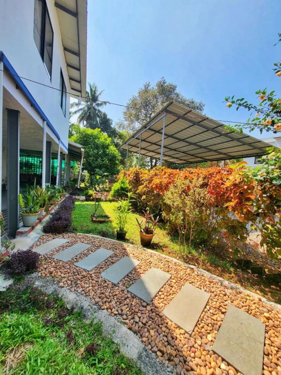 Day, Garden, Garden view