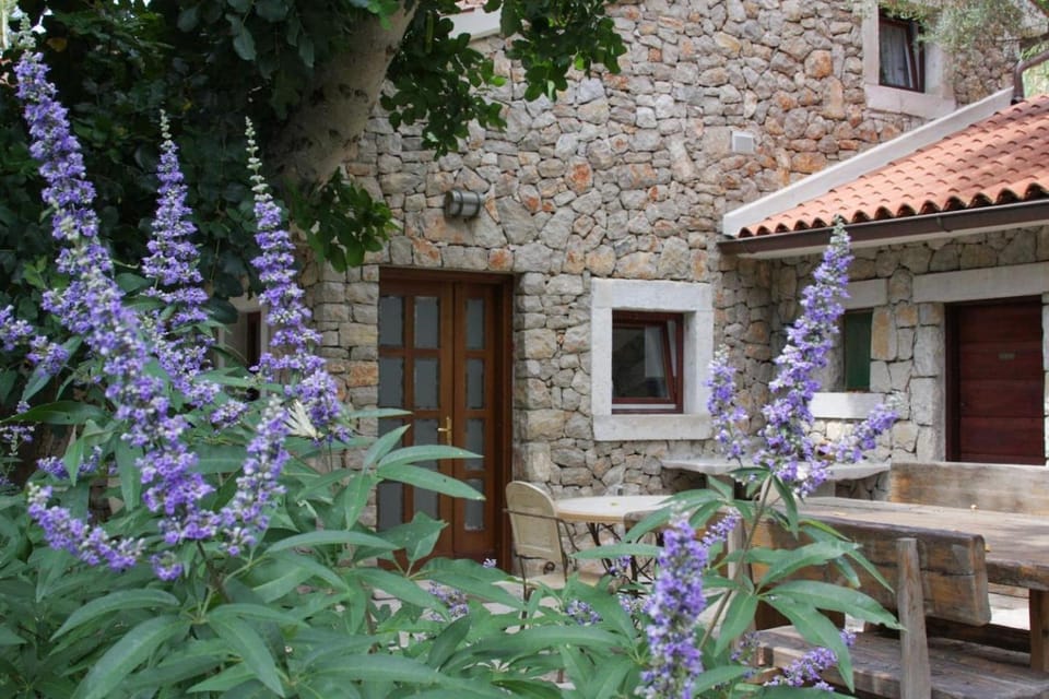 Property building, Garden