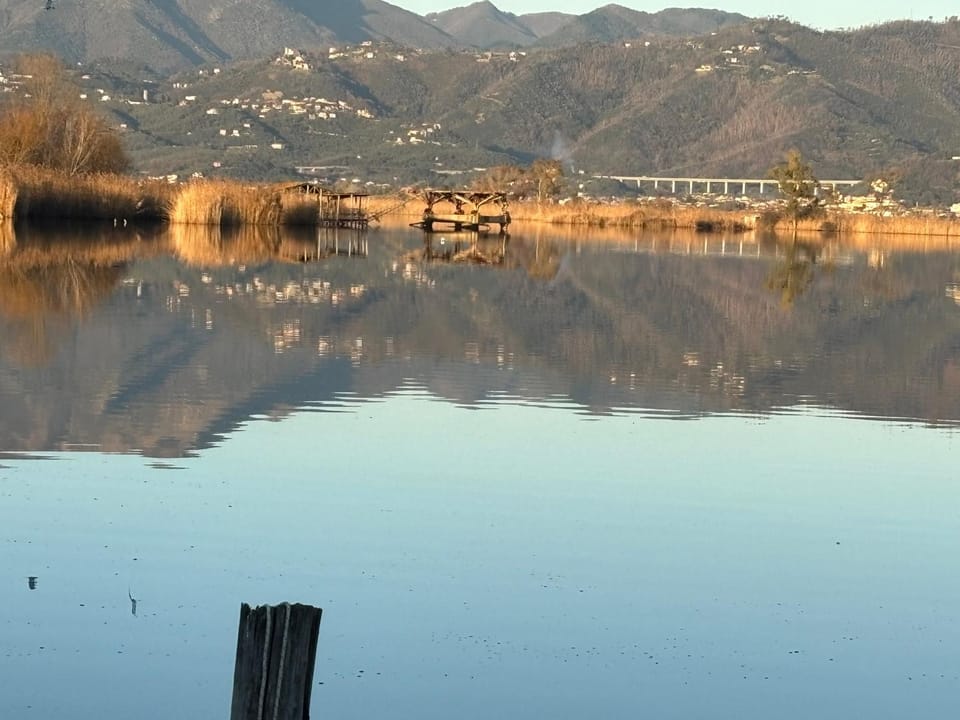 Casa Ceragioli House in Torre del Lago