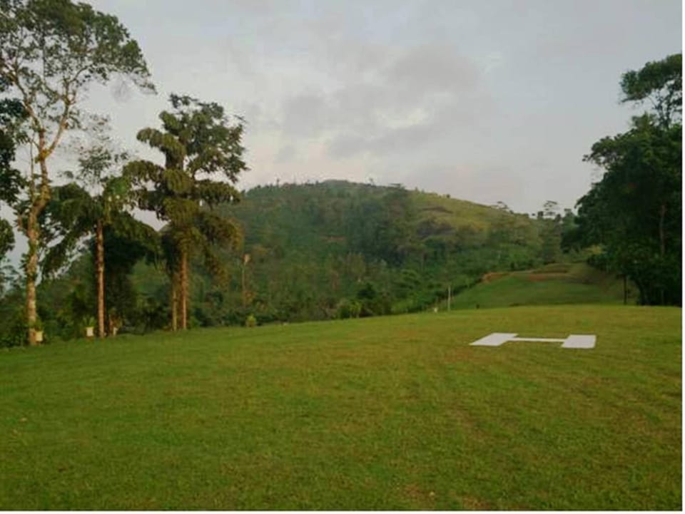 Garden, Garden view, Mountain view