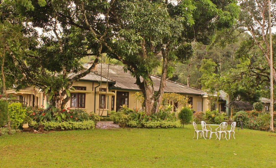 Property building, Natural landscape, Garden, Garden view