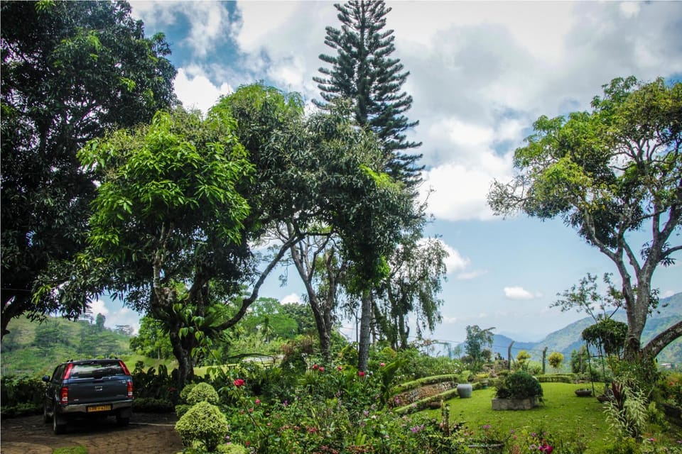 Garden, Garden view, Mountain view